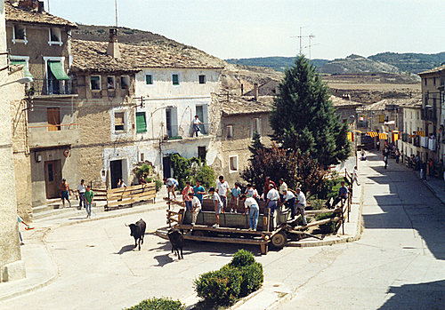 CastejÃ³n De Valdejasa