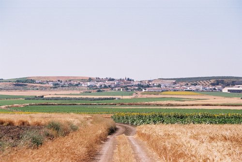 Castilleja Del Campo.