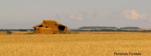 Castrillo De Villavega