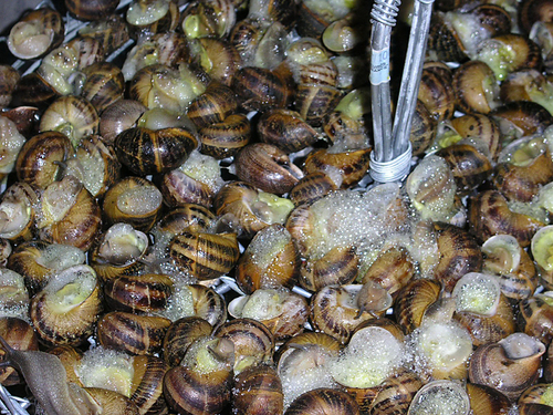 Ayuntamiento de Cati imagen de fachada