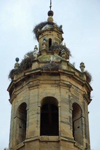 Cigüeñario (Cenicero, 19-7-2007)