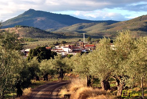 Olivos; Cerezo; Santa Bárbara
