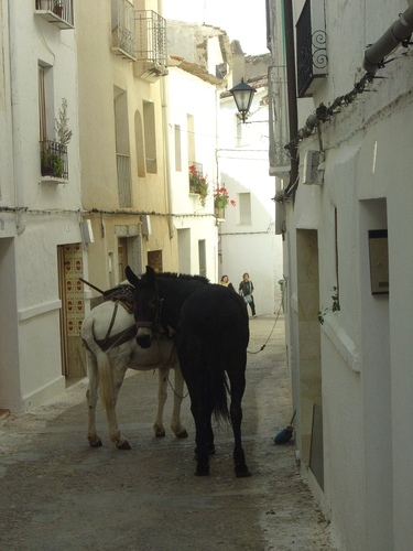 Ayuntamiento de Chelva imagen de fachada