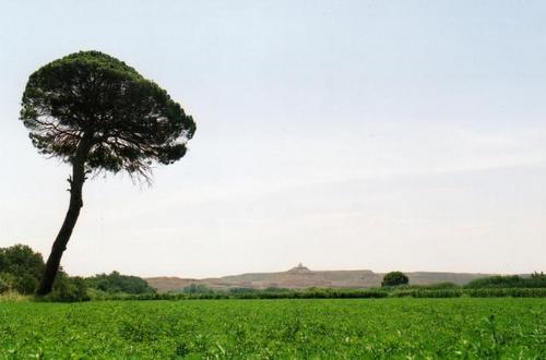 Ayuntamiento de Cinco Olivas imagen de fachada