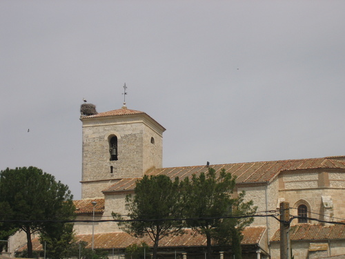 Iglesia De Cogeces Del Monte
