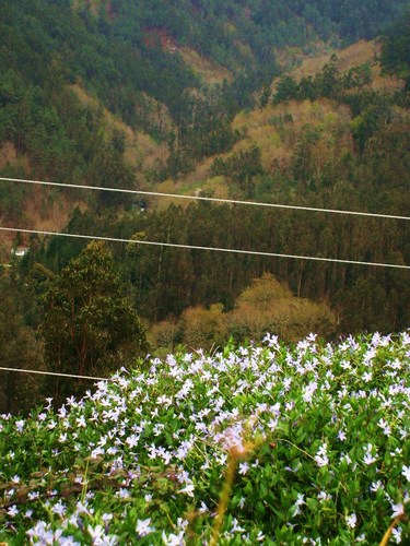 Ayuntamiento de Coiros imagen de fachada
