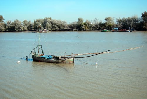 Barcaza En El Guadalquivir