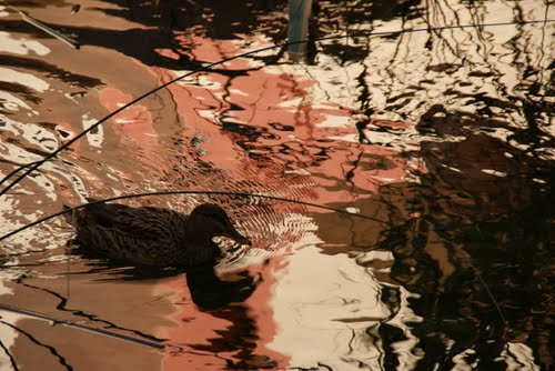 Ayuntamiento de Cornella Del Terri imagen de fachada