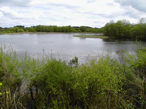 Ayuntamiento de Cospeito imagen de fachada