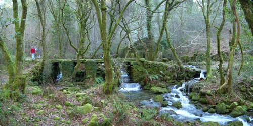 Puente Y Antiguo Molino