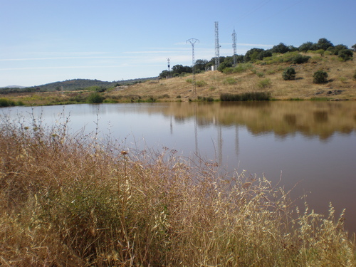 Ayuntamiento de Cristina imagen de fachada