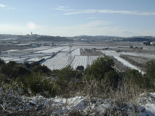 Ayuntamiento de Denia imagen de fachada