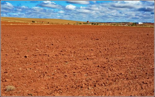 Rojo Doñino #2 , ( Ampliar ) , ( It Must Be Enlarged ) , Doñinos De Salamanca