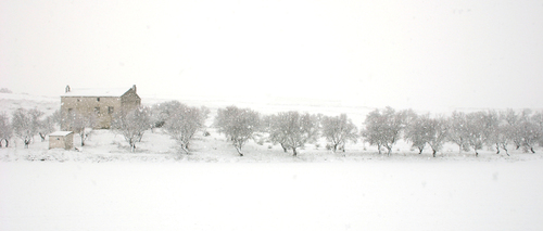Ayuntamiento de Driebes imagen de fachada
