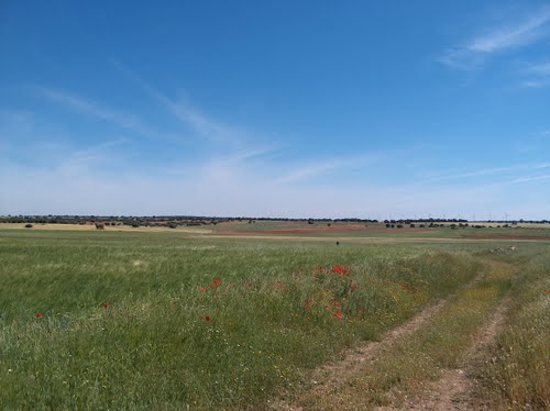 Ayuntamiento de El Ballestero imagen de fachada