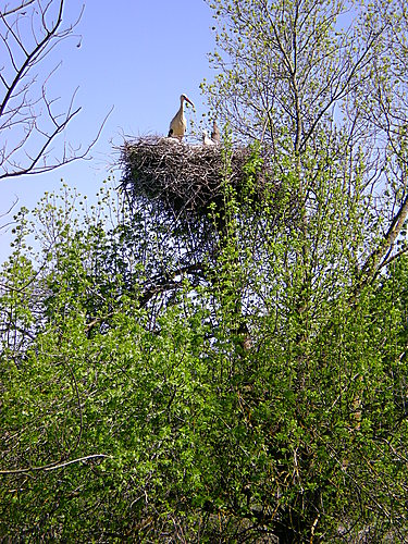 Ayuntamiento de El Boalo imagen de fachada