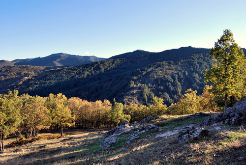 El Cardoso De La Sierra-Guadalajara