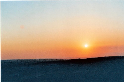 Atardecer En Carpio De Tajo
