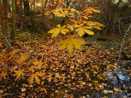 OTOÃ‘O MARAVILLOSO