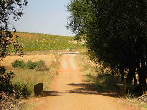 Ayuntamiento de El Pinero imagen de fachada