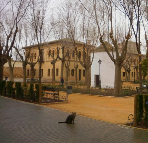 Ayuntamiento de El Toboso imagen de fachada