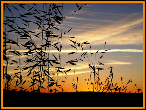 Atardecer Riojano 1 - 