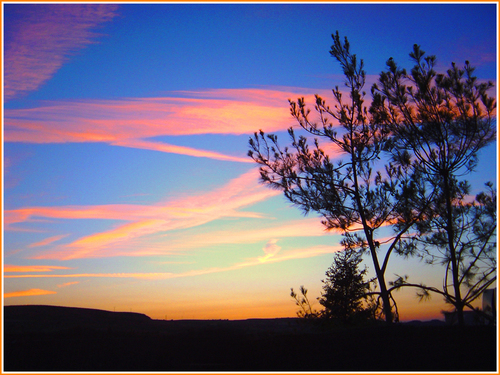 Ayuntamiento de Elciego imagen de fachada