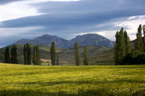 Ayuntamiento de Estella imagen de fachada