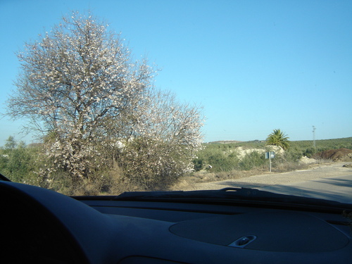 Carretera Del Rubio A Estepa