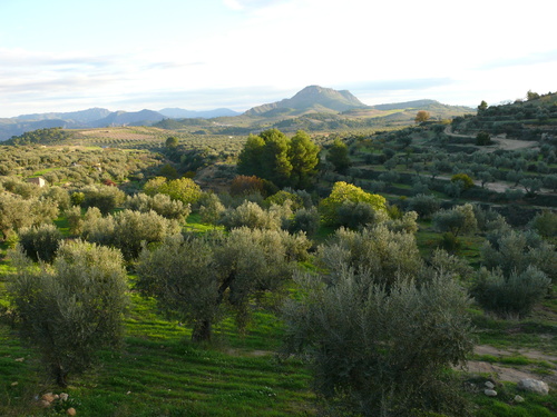 Ayuntamiento de Ferez imagen de fachada