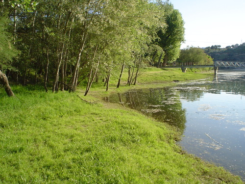 Ayuntamiento de Flix imagen de fachada
