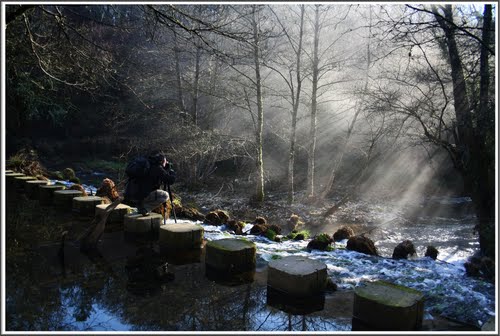 AL FOTÓGRAFO DE MUNDOS MÃGICOS