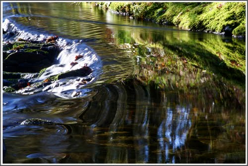 REFLEJOS EN EL LEREZ