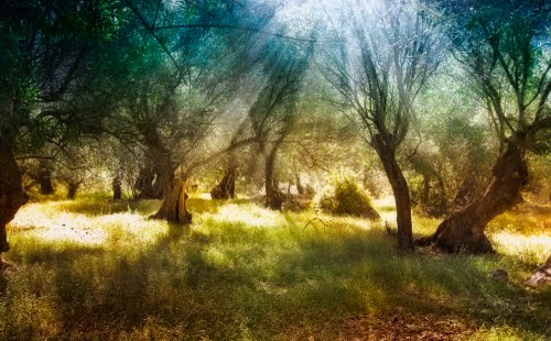 Ayuntamiento de Fornalutx imagen de fachada