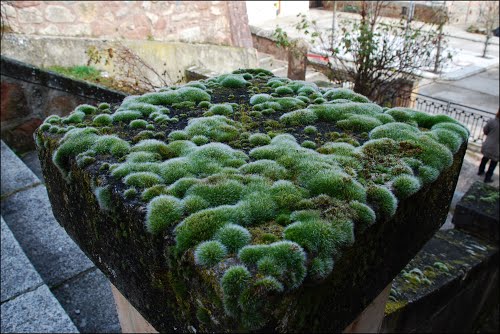 Ayuntamiento de Fresneda De La Sierra Tiron imagen de fachada