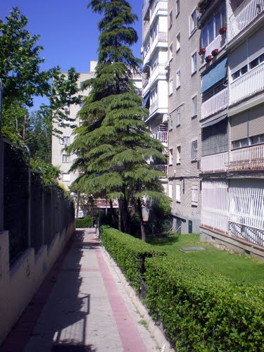 Ayuntamiento de Fuenlabrada imagen de fachada