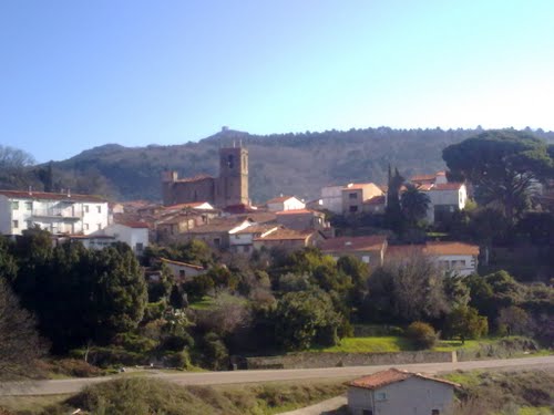 Gata Vista Desde El Taller De Carlos.