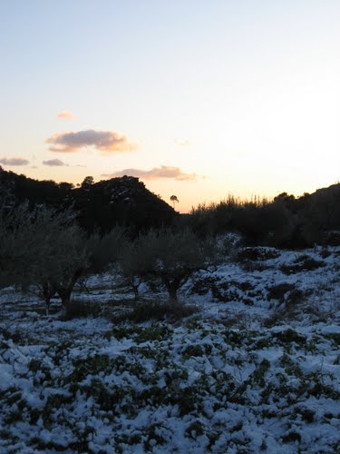 La Nieve Nos Visita