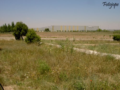 Ayuntamiento de Grisen imagen de fachada