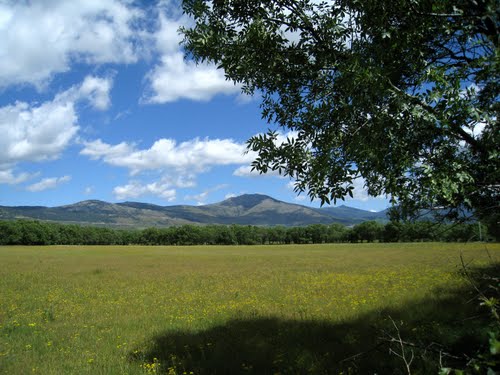 Ayuntamiento de Guadarrama imagen de fachada