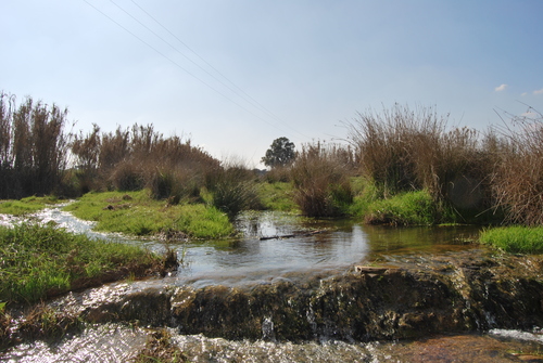 Arroyo Botoz Bajo El Puente
