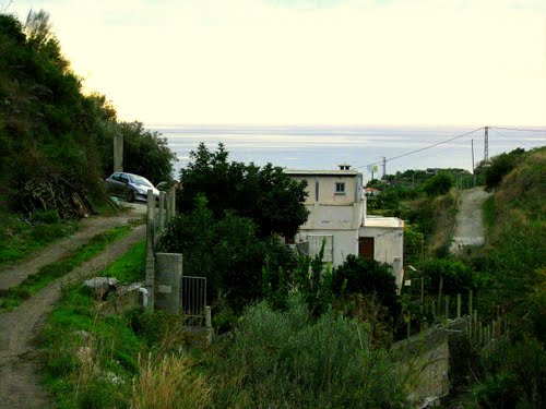 Cerca De AlmuÃ±Ã©car. Diciembre De 2011