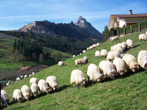 Ayuntamiento de Izurtza imagen de fachada