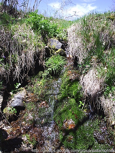 Regatos Por La Acebeda