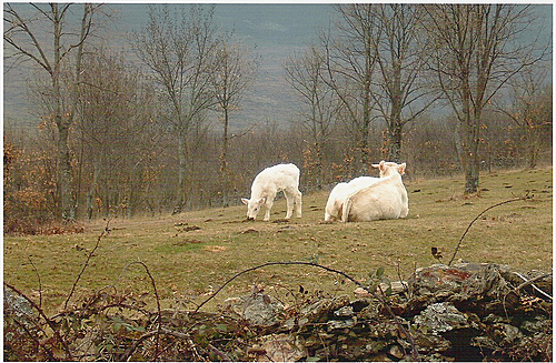 Ayuntamiento de La Hiruela imagen de fachada