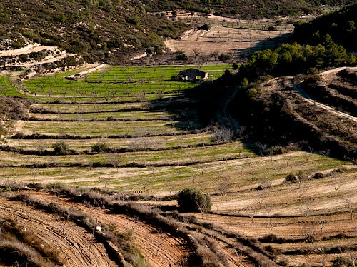 La Pobla De Masaluca