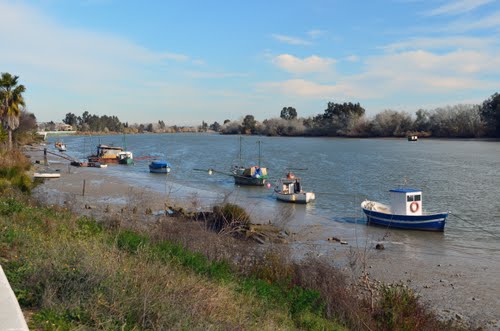 Rio Guadalquivir - Coria Del Rio (Sevilla) -2012