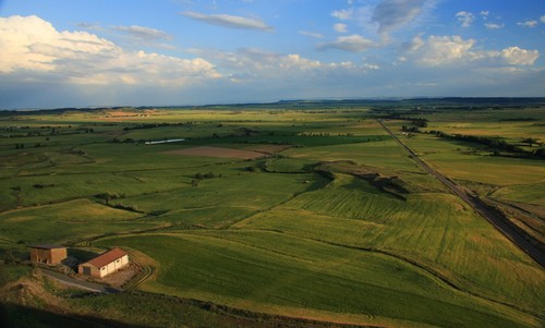 Campos De Bolea.