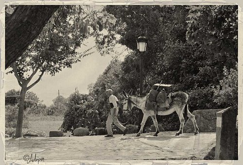 4X4 Vehicle Ecologic (Achiper)