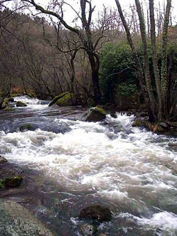 Ayuntamiento de Las Casas Del Conde imagen de fachada